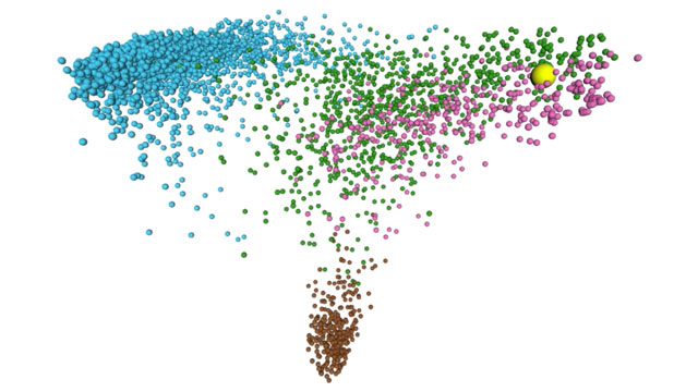 Video of infant gut microbiome