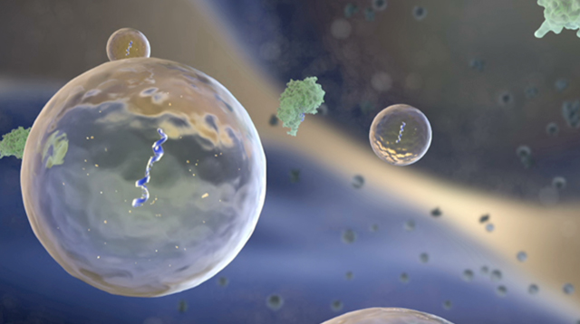 Image of vesicles carrying RNA