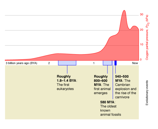 Timeline