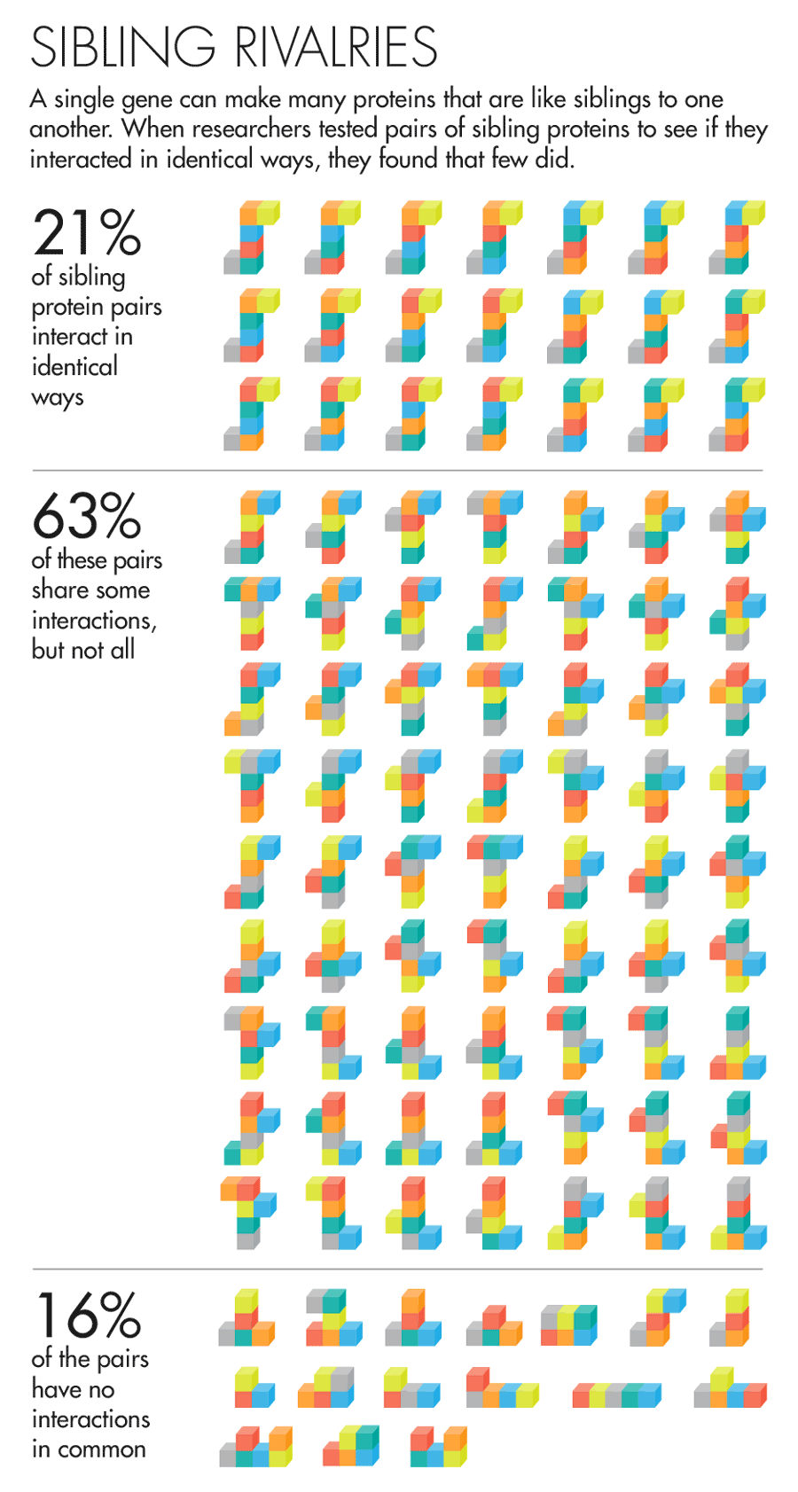 SIBLING RIVALRIES A single gene can make many proteins that are like siblings to one another. When researchers tested pairs of sibling proteins to see if they interacted in identical ways, they found that few did. 21% of sibling protein pairs interact in identical ways 63% of these pairs share some interactions, but not all 16% of the pairs have no interactions in common