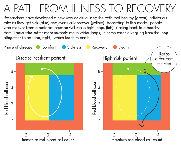 A Path From Illness to Recovery Researchers have developed a new way of visualizing the path that healthy (green) individuals take as they get sick (blue) and eventually recover (yellow). According to this model, people who recover from an infection will make tight loops (left), circling back to a healthy state. Those who suffer more severely make wider loops, in some cases diverging from the loop altogether (black line, right), which leads to death. Y-axis label (for both graphs): Red blood cell count X-axis label (for both graphs): Immature red blood cell count