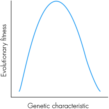 Graph2_Answer