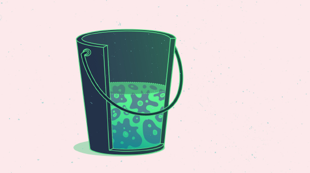 Illustration: bucket half-full of amoebas.