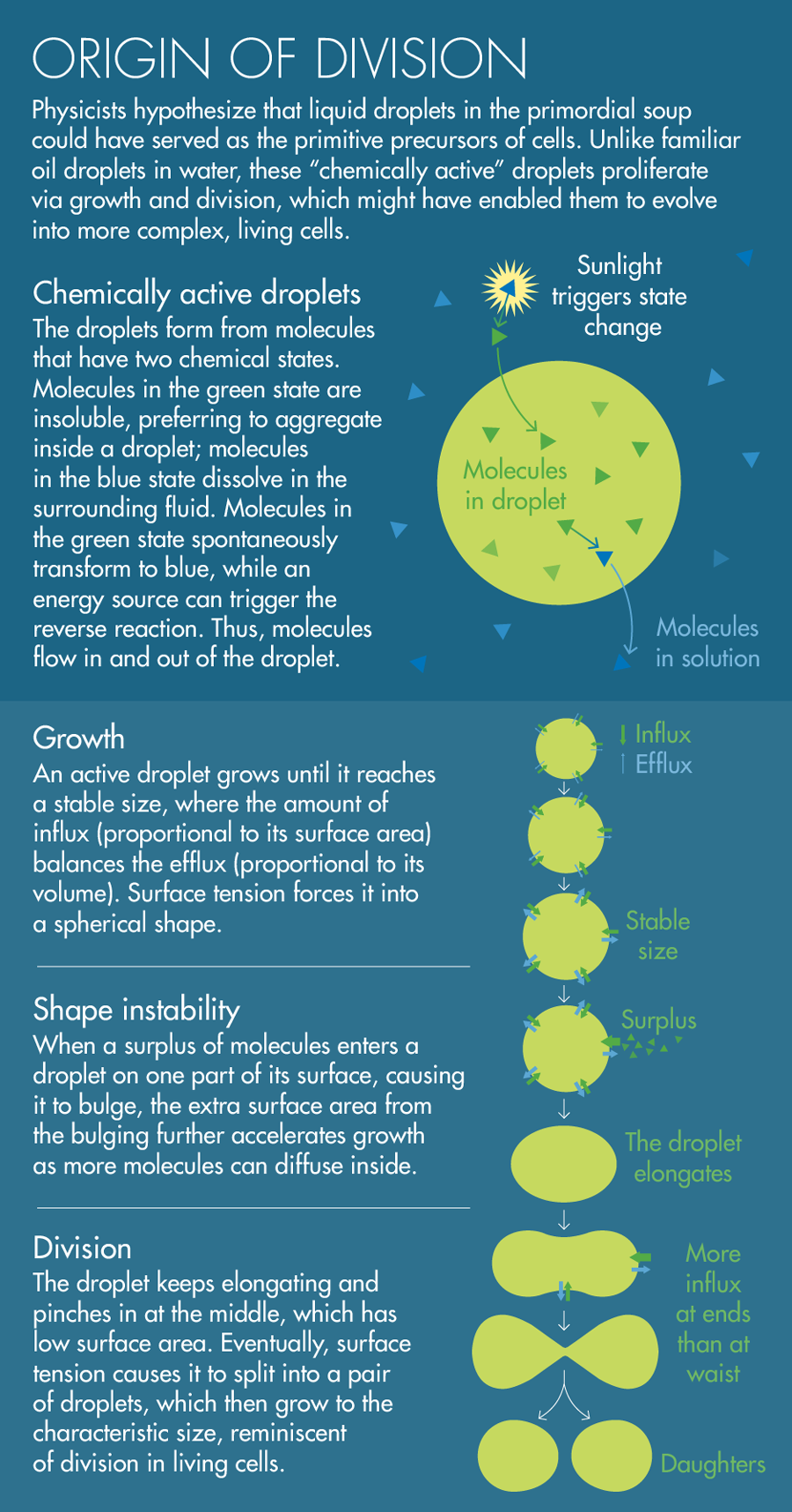 Graphic: Origin of Division