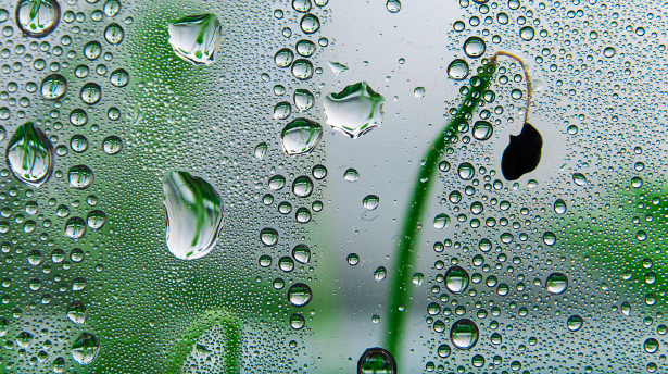 Photo of raindrops on a window by Philip Kraaijenbrink