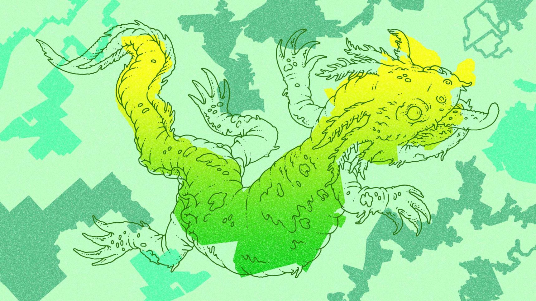 Gerrymandering salamander illustration