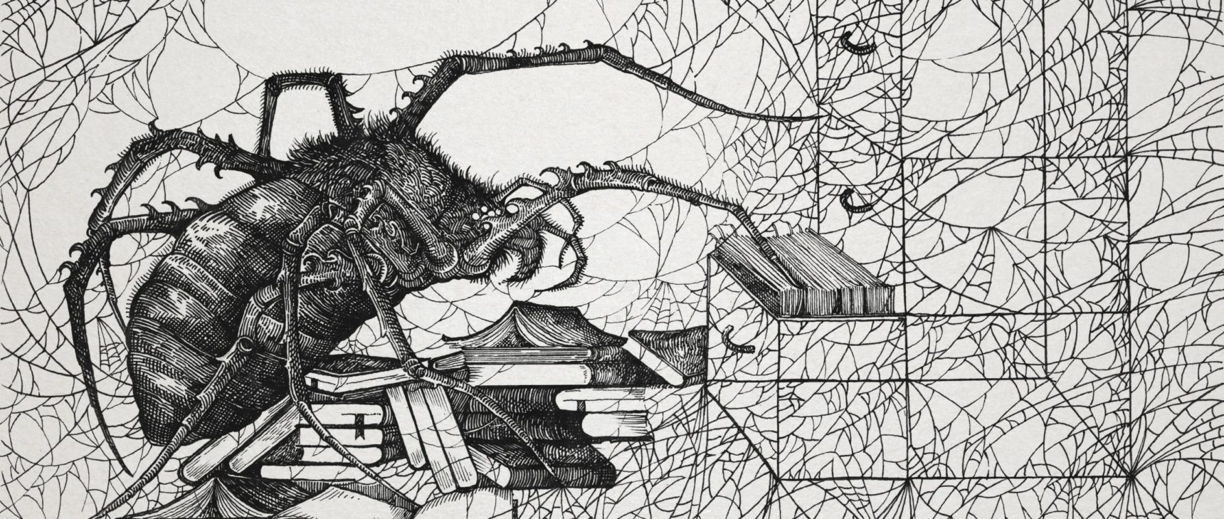 Is a spiderweb part of the animal’s mind?