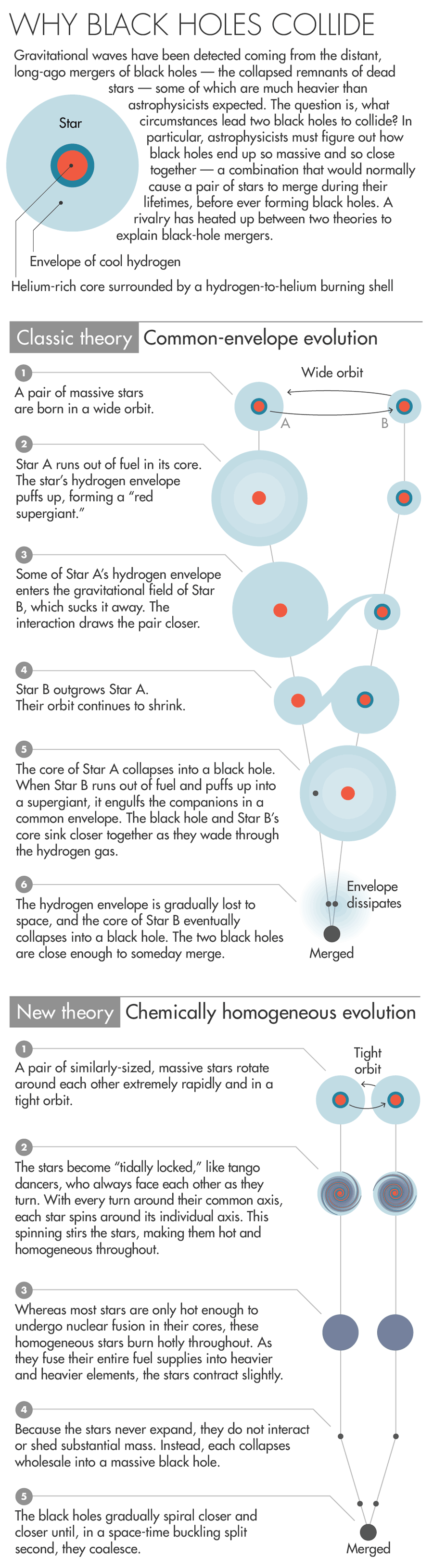 Common-envelope and chemically homogeneous evolution of black holes