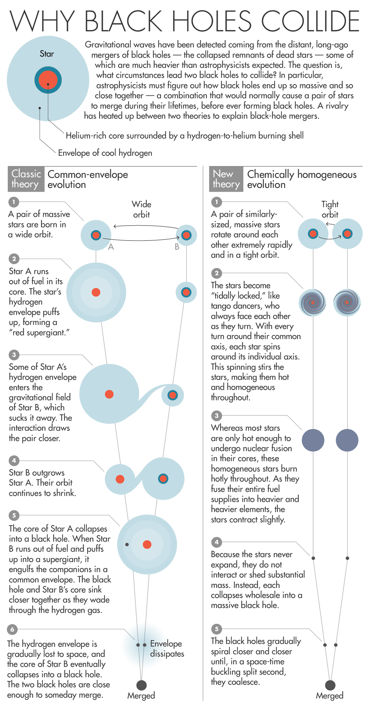 Common-envelope and chemically homogeneous evolution of black holes