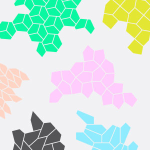 15 pentagon tessellations