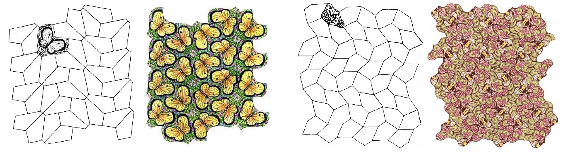 Four types of tessellating pentagons discovered by Marjorie Rice