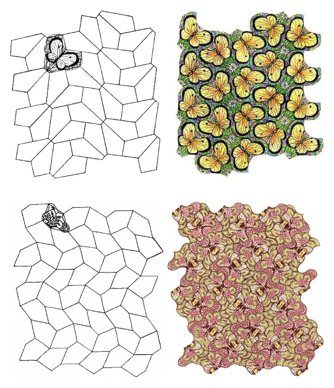 Four types of tessellating pentagons discovered by Marjorie Rice