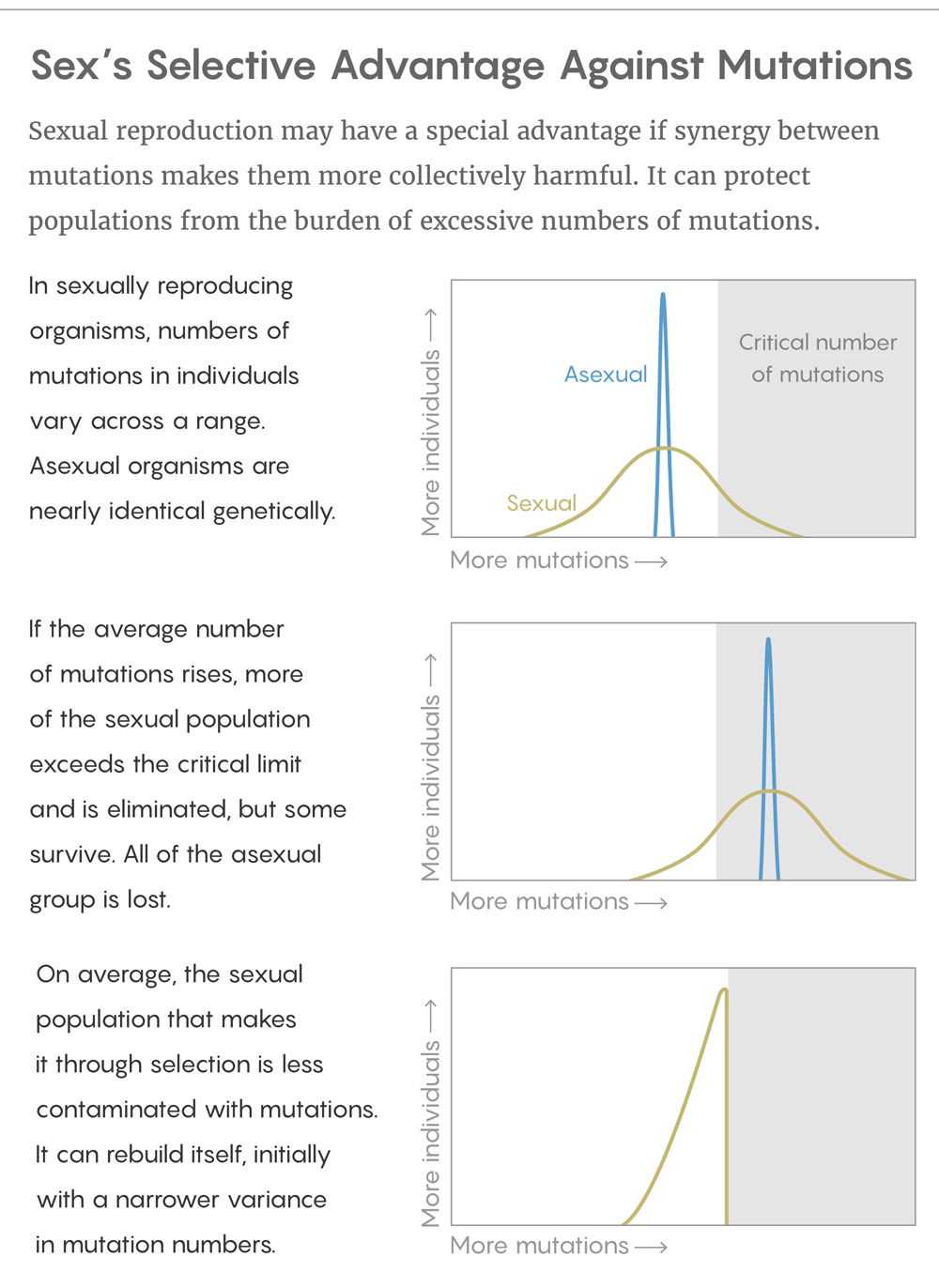 Sex's Selective Advantage Against Mutations