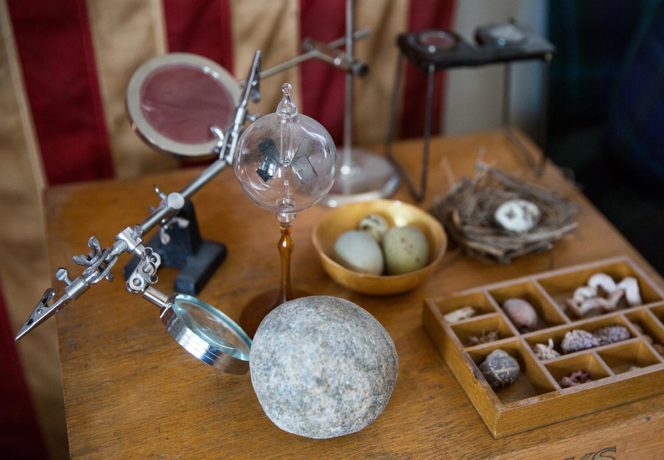 Rocks, shells, magnifying glass