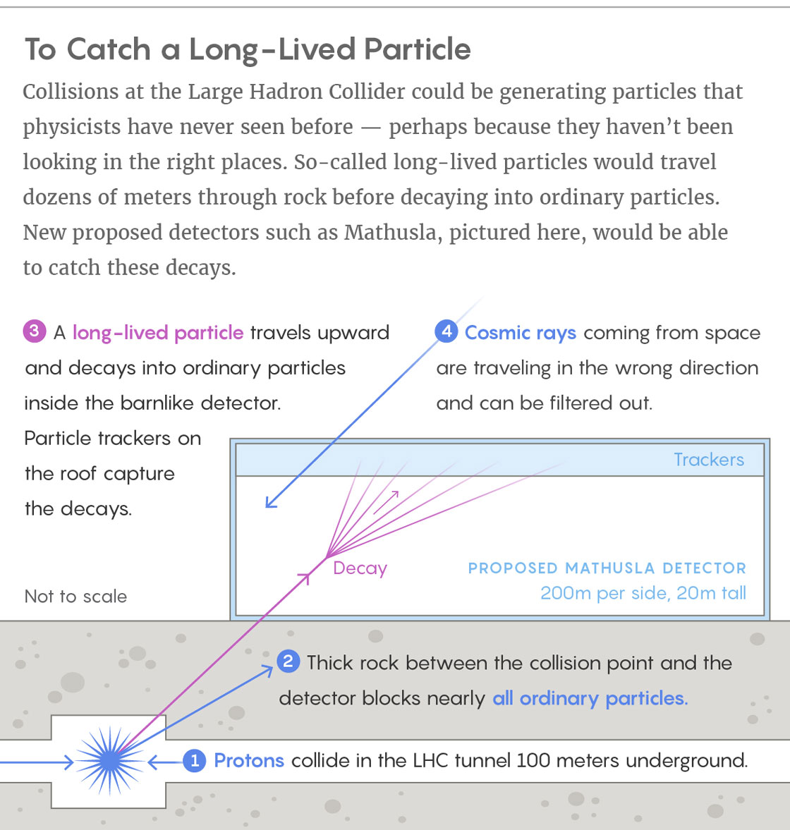 To catch a long-lived particle