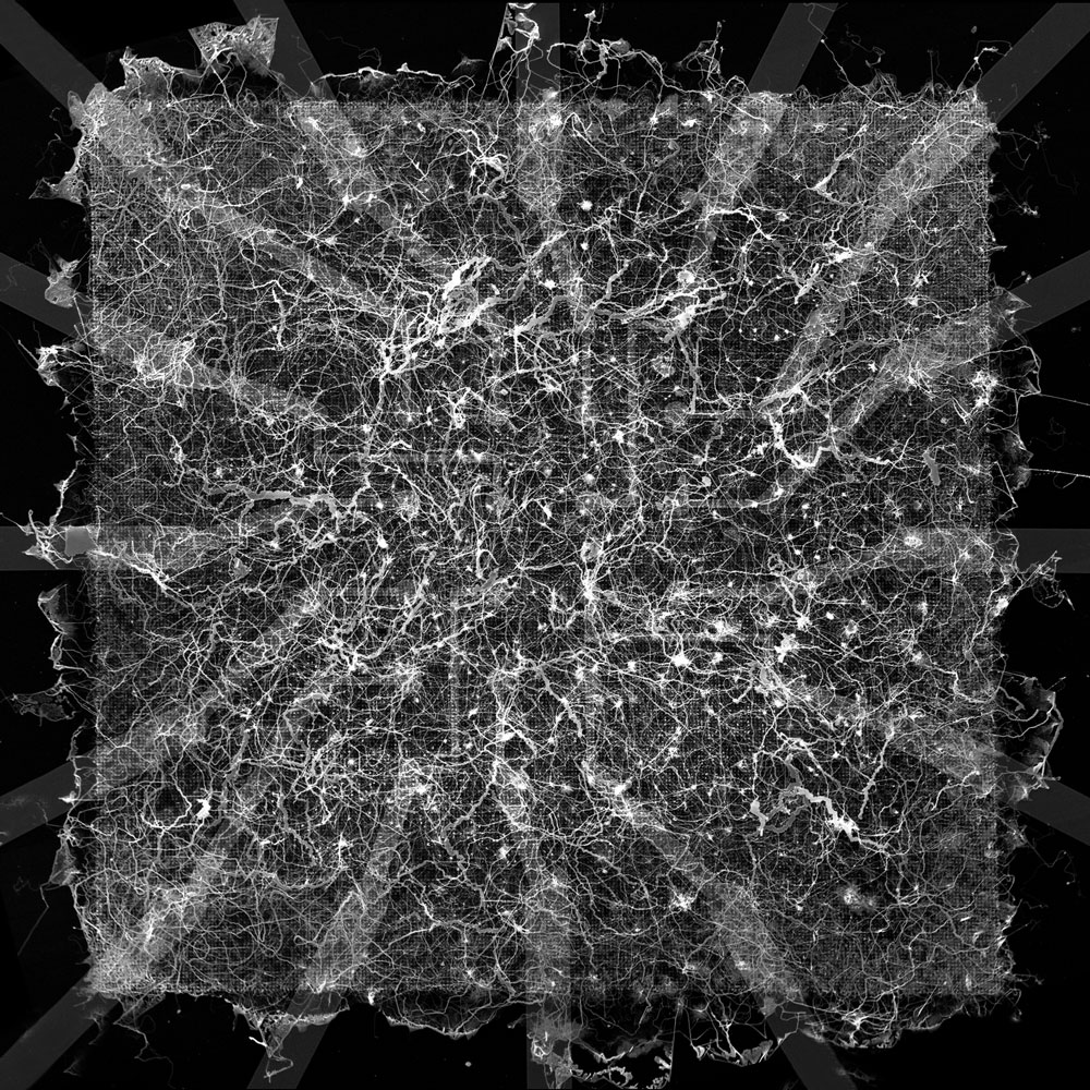 nanowire network