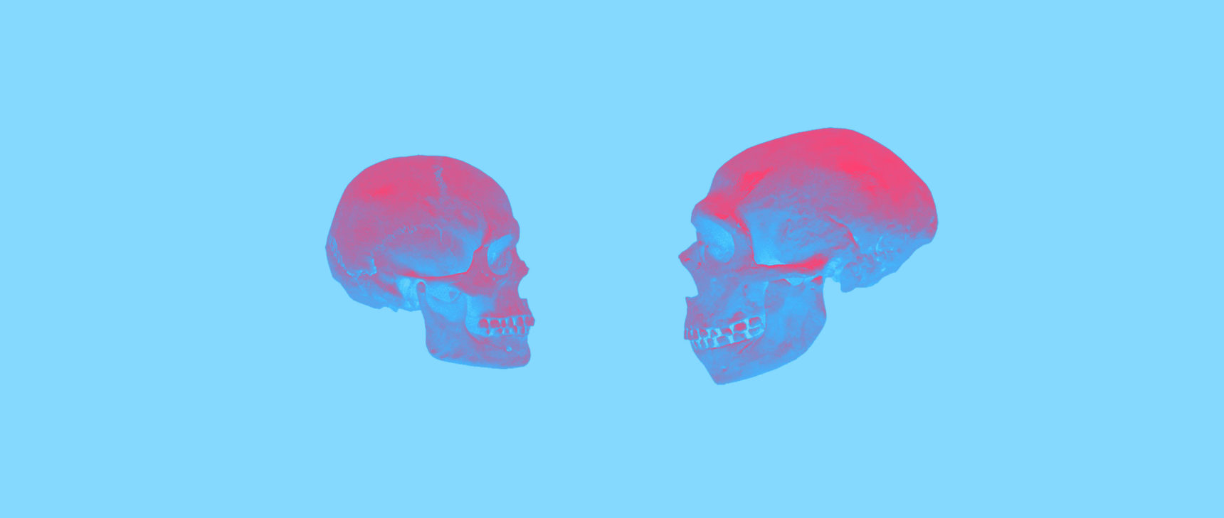 Modern humans (at left) and Neanderthals (right)