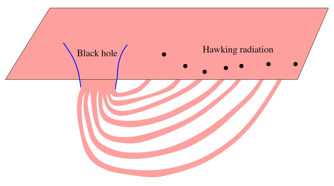 Pink diagram of an "octopus"