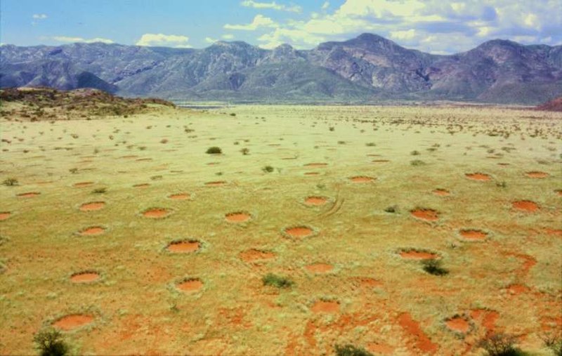 Photo of fairy circles in the Namibian landscape.