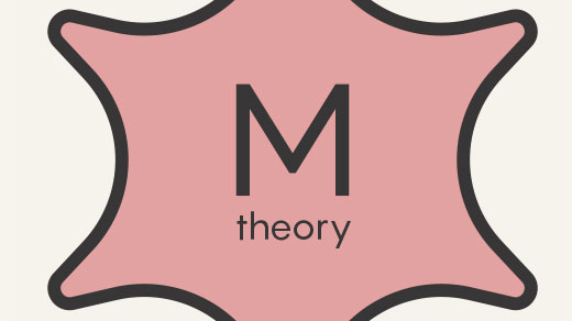 M theory and its six components