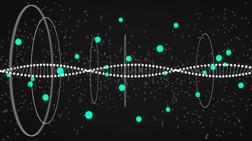 RNA Peptide 520