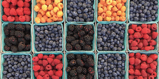 Square tiling of berry filled cartons