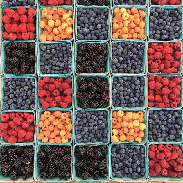 Square tiling of berry filled cartons