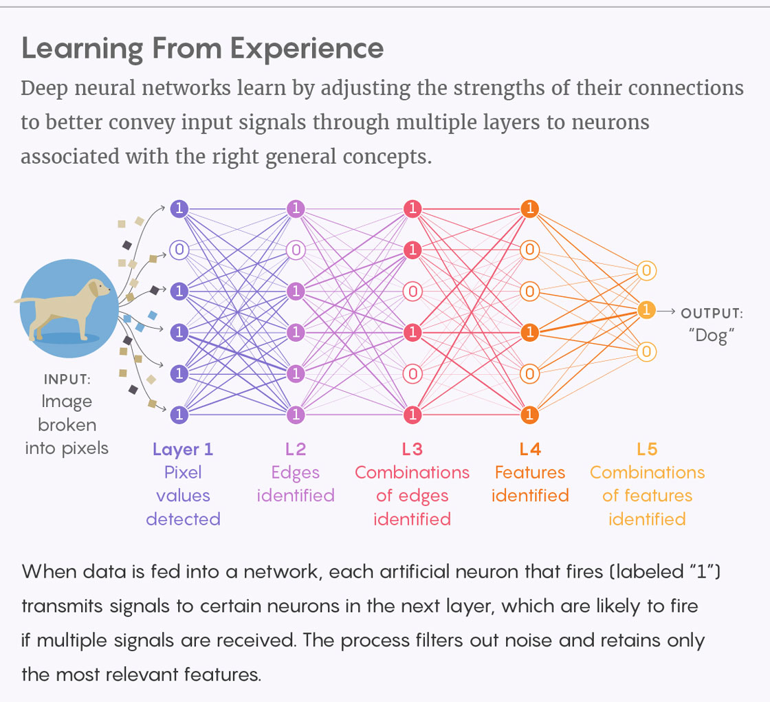 Graphic illustrating how information bottleneck procedure works.