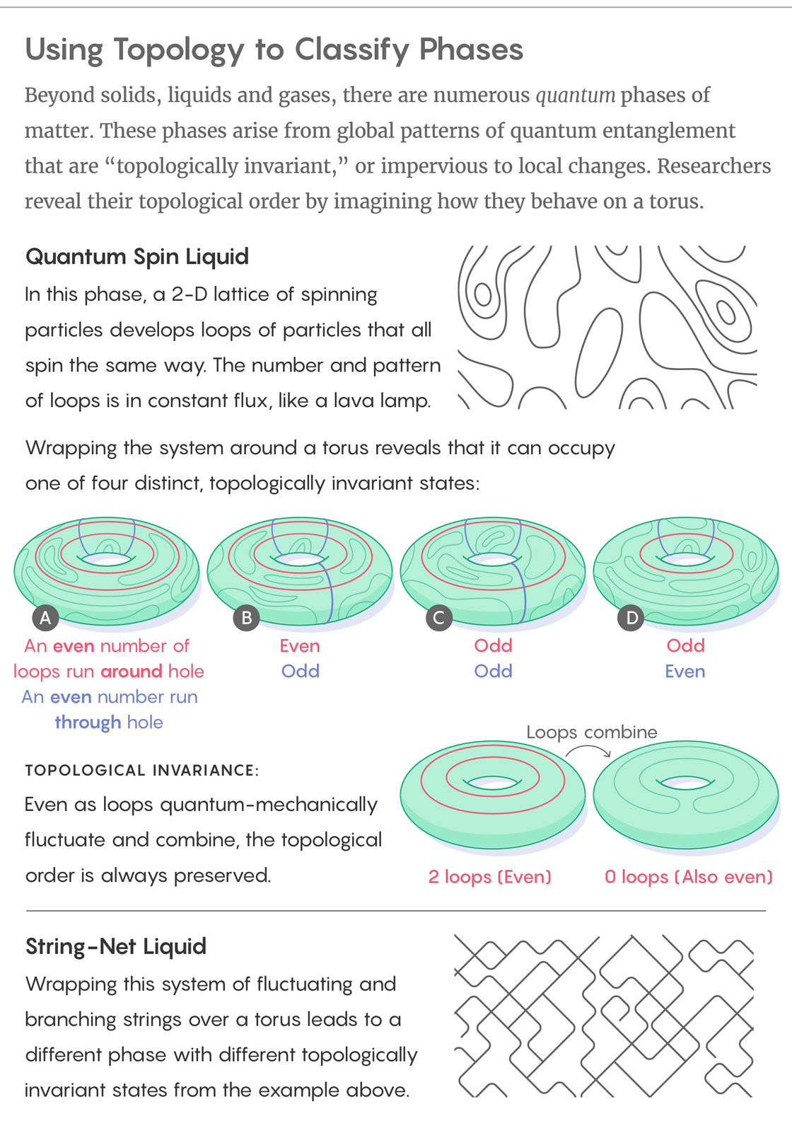 Illustration using topology to classify phases