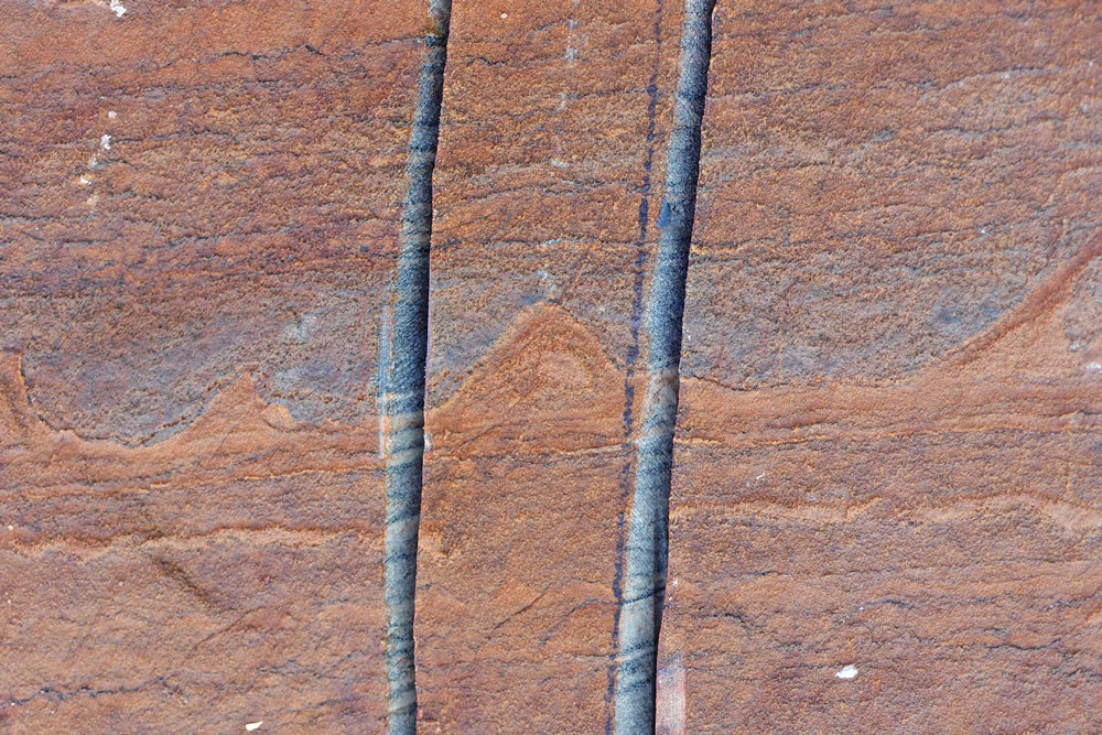 Photo of stromatolite fossils