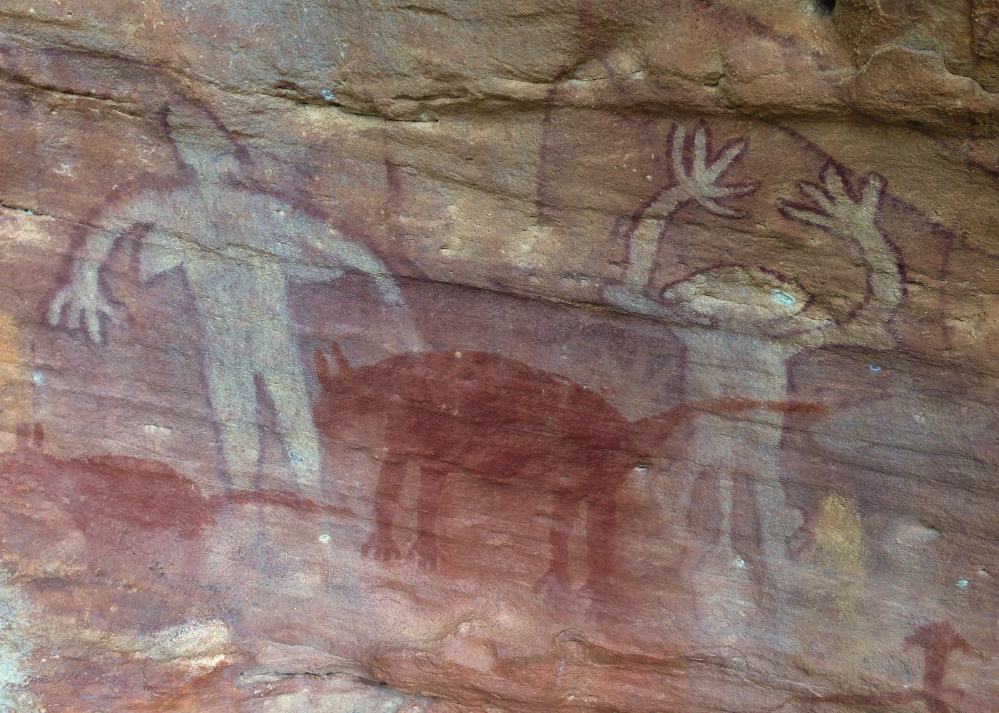 Photo of cave painting depicting humans and dingoes