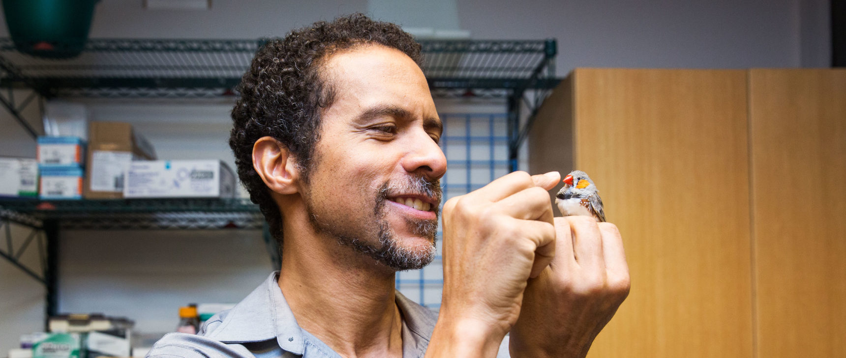 HP photo of Jarvis holding a zebra finch