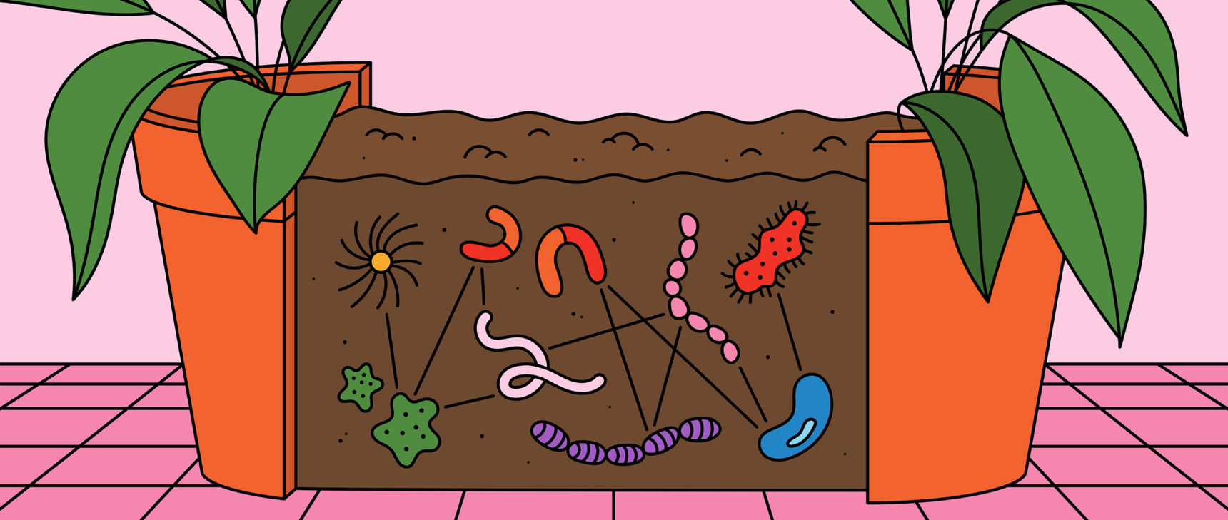 HP illustration of microbial networks