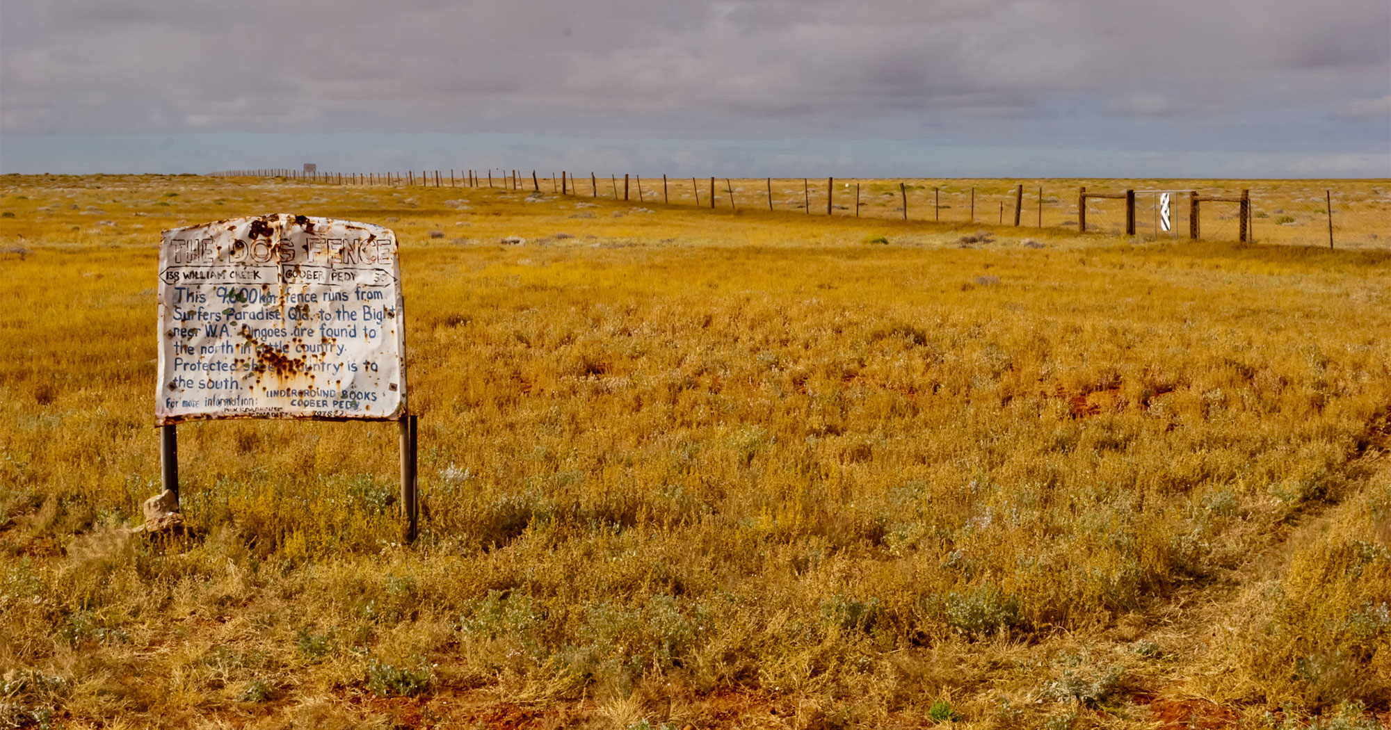 Photo of the dog fence