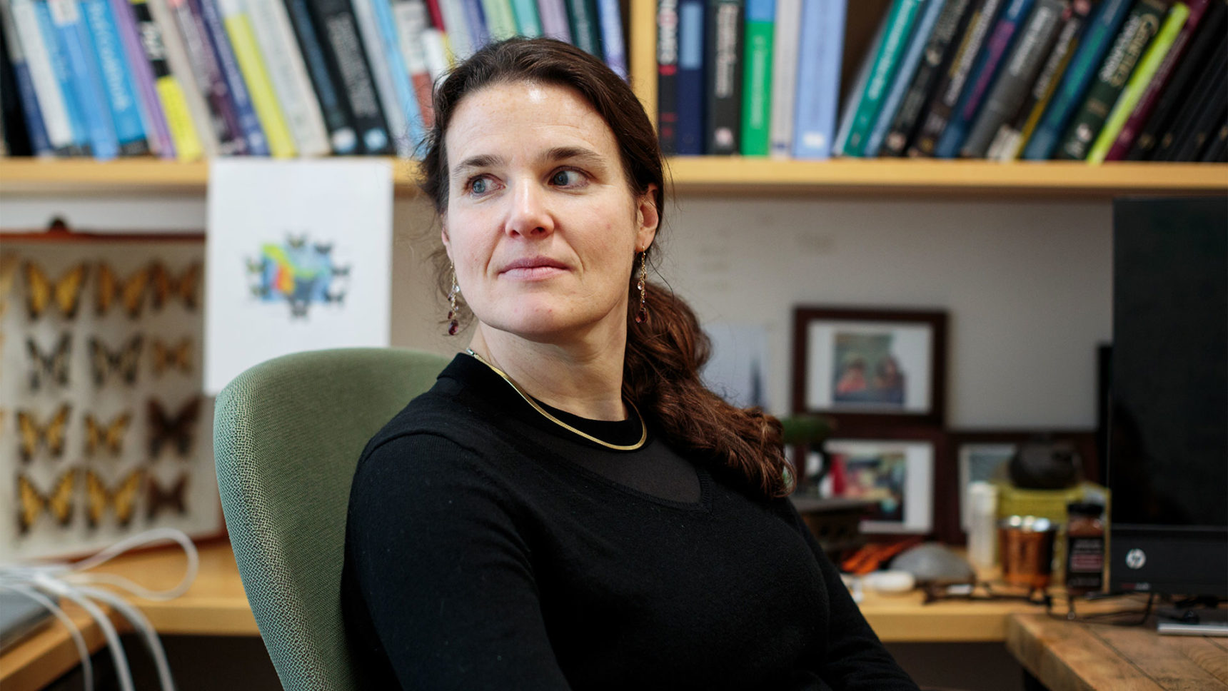 Video over photo of Barbara Engelhardt in her Princeton office