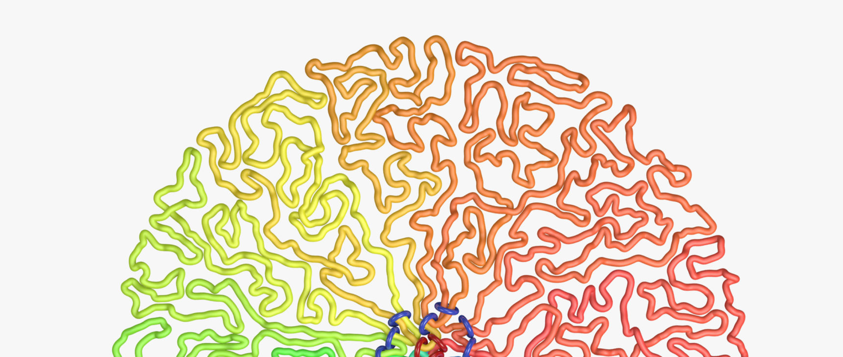 Homepage illustration of genome packaging