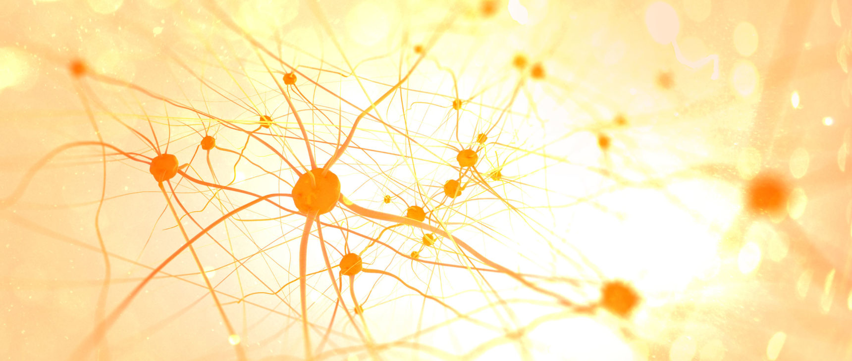 Homepage photo of lit neurons