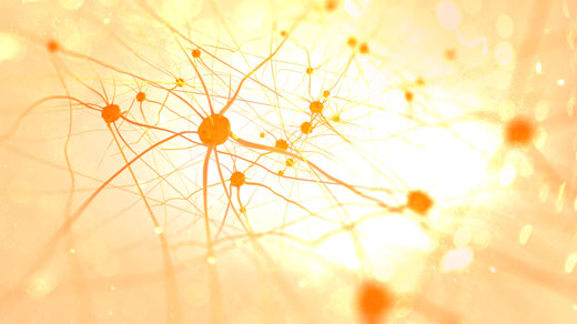 520px photo of lit neurons