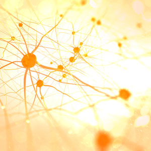 Thumbnail photo of lit neurons