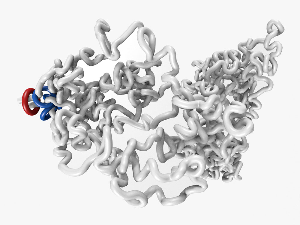 3D illustration of a genome looping