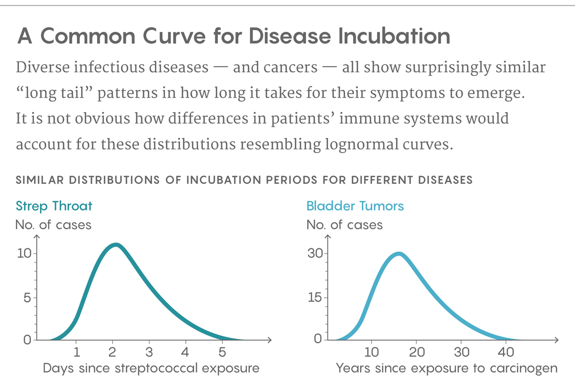 A graph illustrating the common curve for disease incubation.