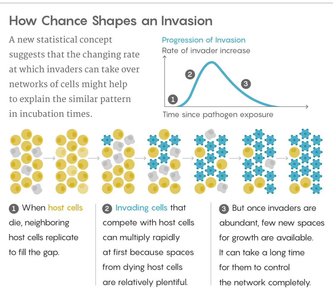 A graph illustrating how geometry and chance shape an invasion