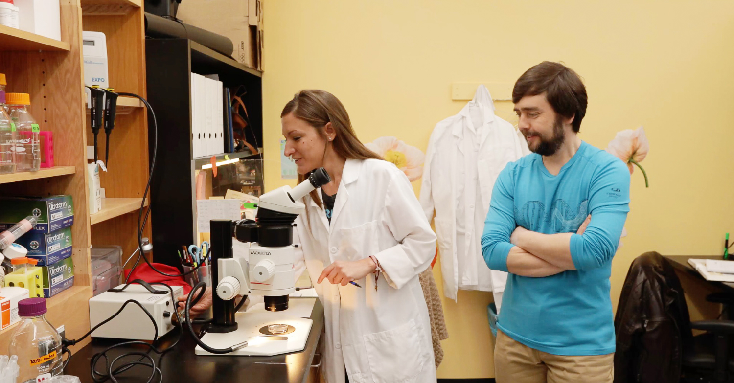 Photo of Michael Levin and Celia Herrera-Rincon in the lab