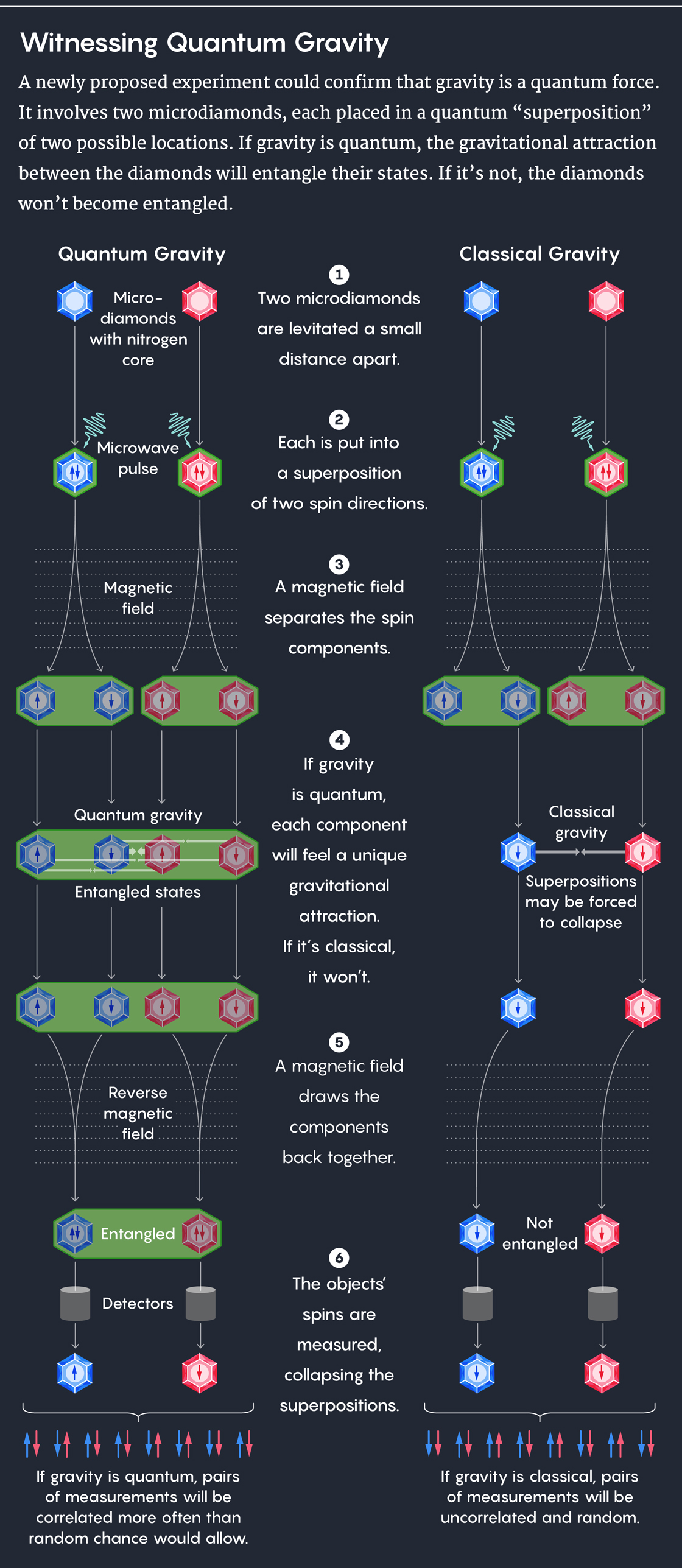 A newly proposed experiment could confirm that gravity is a quantum force. It involves two microdiamonds, each placed in a quantum “superposition” of two possible locations. If gravity is quantum, the gravitational attraction between the diamonds will entangle their states. If it’s not, the diamonds won’t become entangled. 1. Two microdiamonds are levitated a small distance apart. 2. Each is put into a superposition of two spin directions. 3. A magnetic field separates the spin components. 4. If gravity is quantum, each component will feel a unique gravitational attraction. If it’s classical, it won’t. 5. A magnetic field draws the components back together. 6. The objects’ spins are measured, collapsing the superpositions.