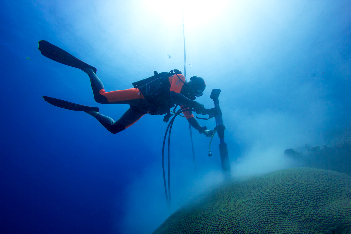 Photo of a diver drilling coral