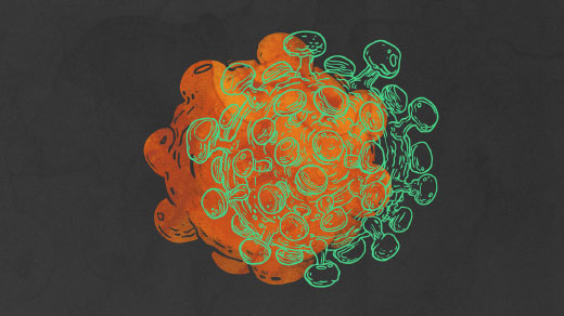 Lede art for "Viruses and Cell Vesicles: Different, but Two of a Kind"