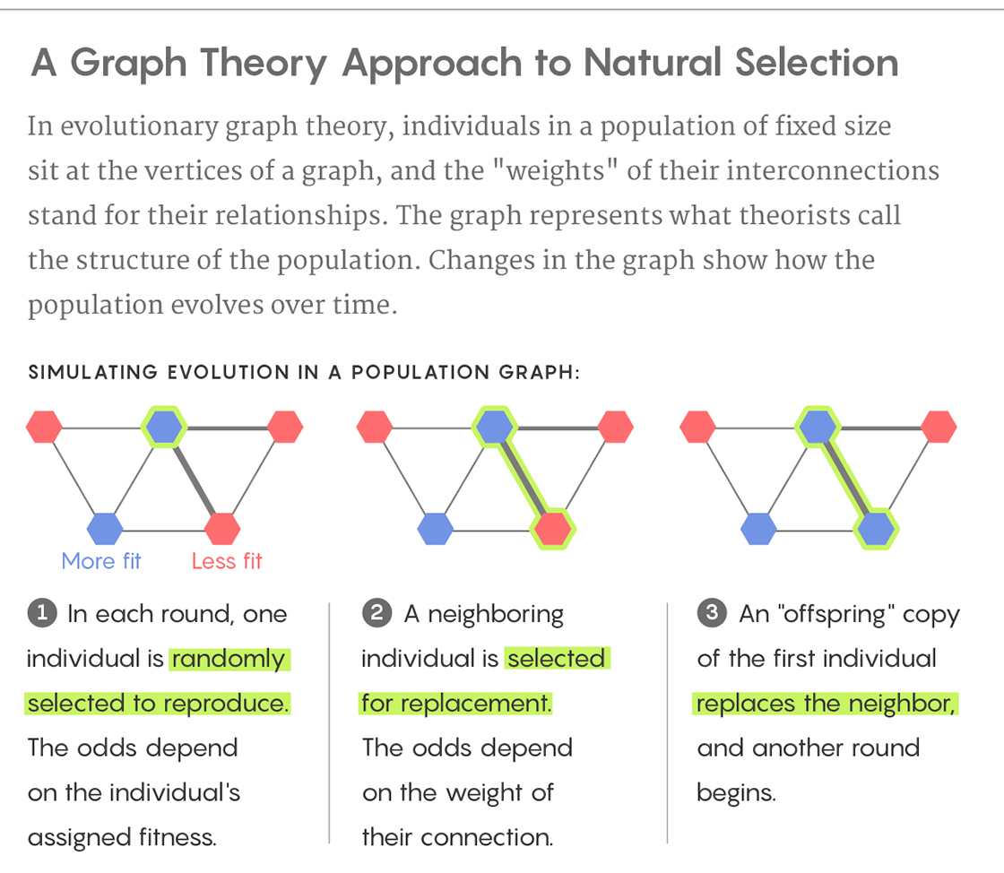 Graphic illustration comparing structures that suppress natural selection and structures that amplify natural selection.