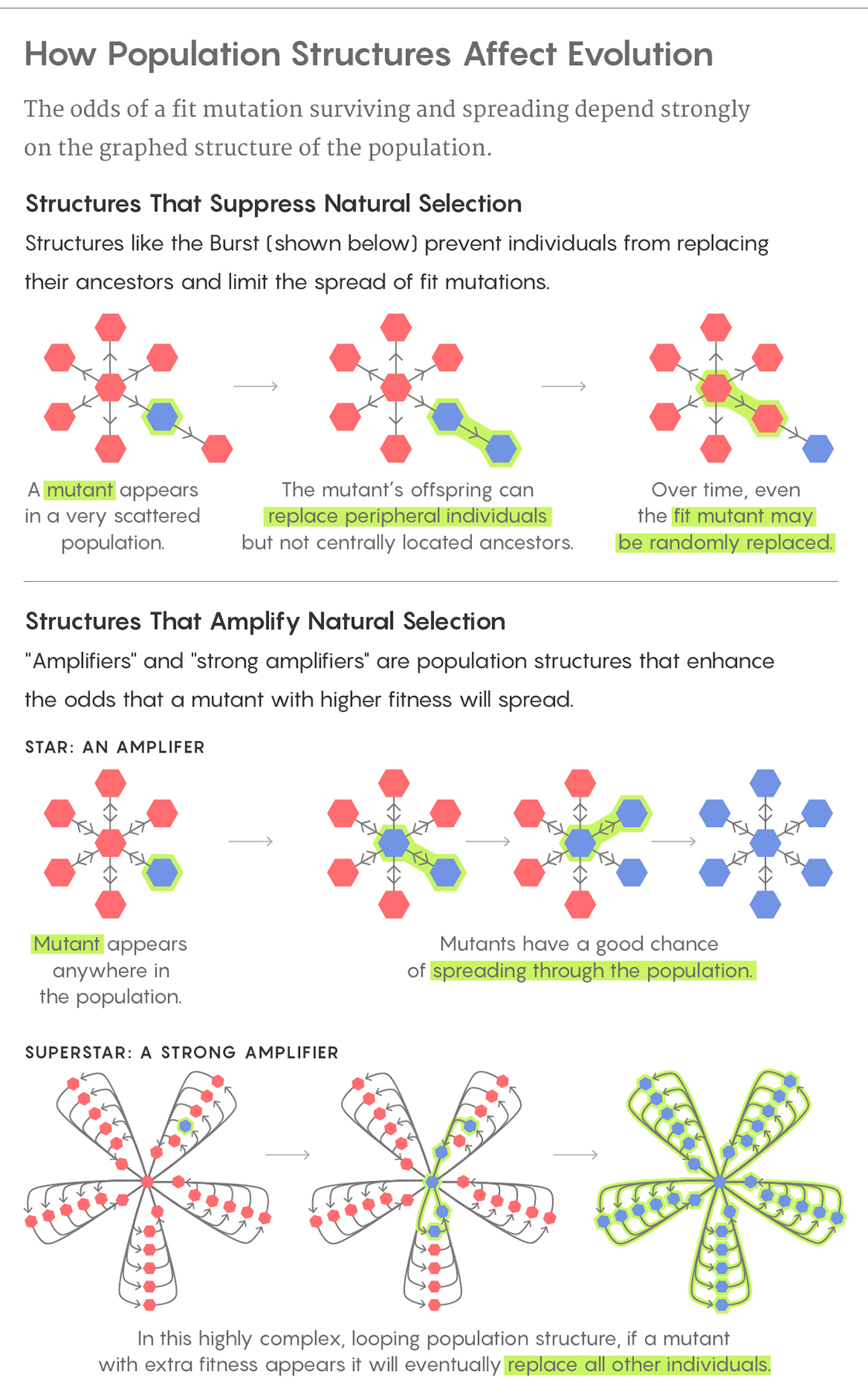 Graphic illustrating a simulation of evolution in a population graph.