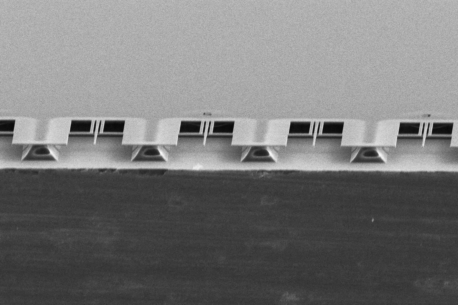 Microscopic image of 10-micrometer-long silicon beams