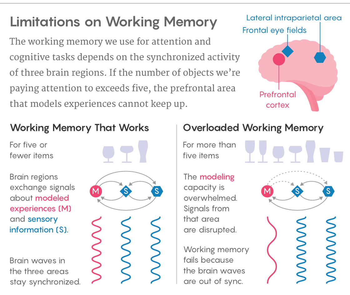 Graphic comparing working memory that works versus overloaded working memory.